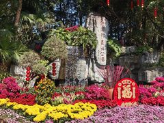 -广州市流溪河国家森林公园
