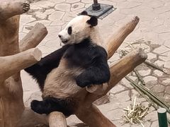 -沈阳森林动物园