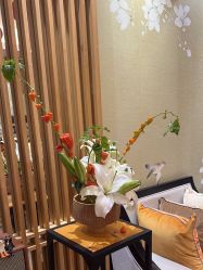 -一本X目奈子日式单根美睫专业店