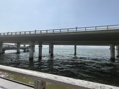 -演武大桥观景平台