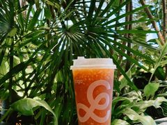 -gaga(深圳福田星河COCO Park店)