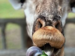 -常州淹城野生动物世界