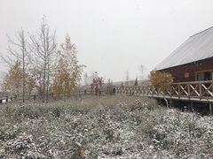 -喀纳斯禾木山庄