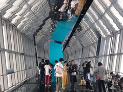 -上海环球金融中心云端足球盛典