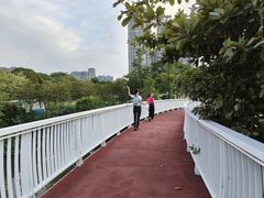 -文华公园(禅城区)