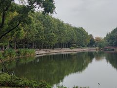 -泰州凤城河风景区-泰山公园