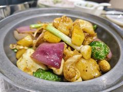 酱爆鱼泡-红日饭店(裕隆三路店)