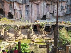 -长鹿旅游休博园