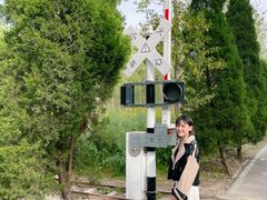 -合肥滨湖国家森林公园