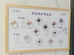 -瑞派康怡24h宠物医院·犬猫医疗中心·微创绝育(瑞景分院)