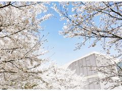 -龙美术馆(西岸馆)