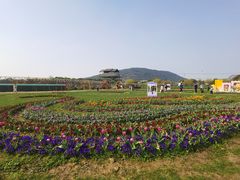 -苏州太湖西山岛开心农场