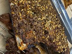 -清真·马峰烤肉(小学习北巷店)