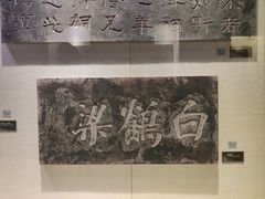 -白鹤梁水下博物馆