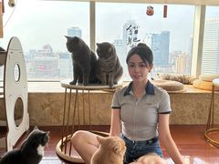 -Catmate·猫肥家润(金润铂宫店)