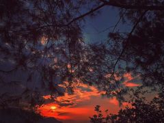 -海盗船. 龙虾烧烤. 酒馆