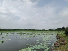 -上海海湾国家森林公园