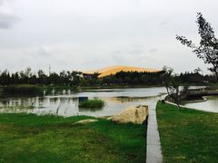 -滆湖低碳生态公园