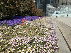 -西湖文化广场