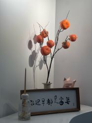 -DELAVAY黛乐薇抗衰中心