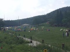-武陵山森林公园