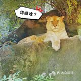 国庆假期去哪玩？——永川•乐和乐都[礼花]