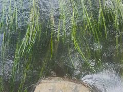 -贵阳市花溪国家城市湿地公园