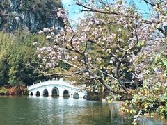 -星湖旅游景区七星岩