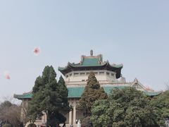 -武汉大学-樱园