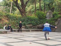 -晓港公园