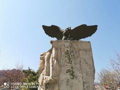 -北京鹫峰国家森林公园