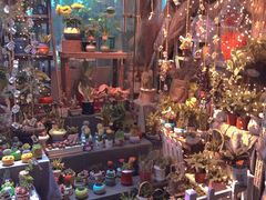 -循礼门鲜花花市(武汉循礼门店)