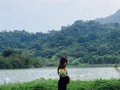 -风云岭森林公园