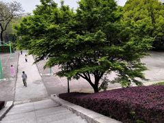 -浙江大学(玉泉校区)