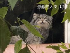 -青藏高原野生动物园