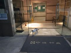 -阿婆油墩子(五里桥路188弄小区店)