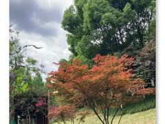 -重庆彩云湖湿地公园