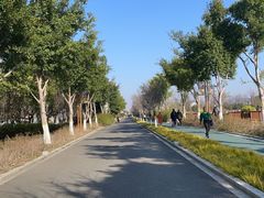 -三垟湿地