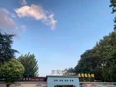 -丁老爷子苏香圆