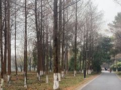 -西溪国家湿地公园