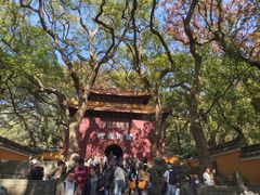 -普陀山风景名胜区-法雨禅寺