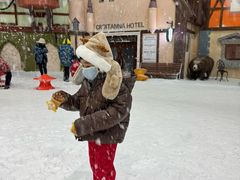 -世界之窗阿尔卑斯冰雪世界