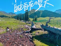 -新疆那拉提国家旅游度假区