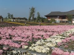 -中国天府农业博览园