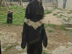 -石家庄市动物园