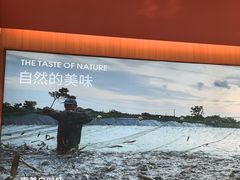 -巴奴毛肚火锅(二七万达店)