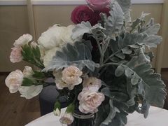 -Dr.Z dental仁康种植矫正中心