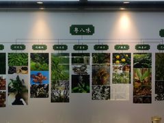 -广东中医药博物馆