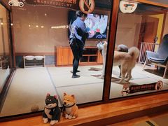 -大江户·温泉洗浴(浑南店)