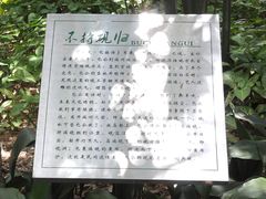 SNC00807-晓港公园